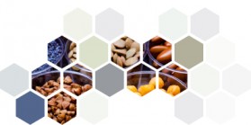 Workshop: Food Analysis